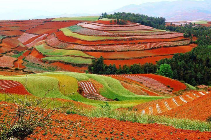 Colorful Hills Lexiaguo